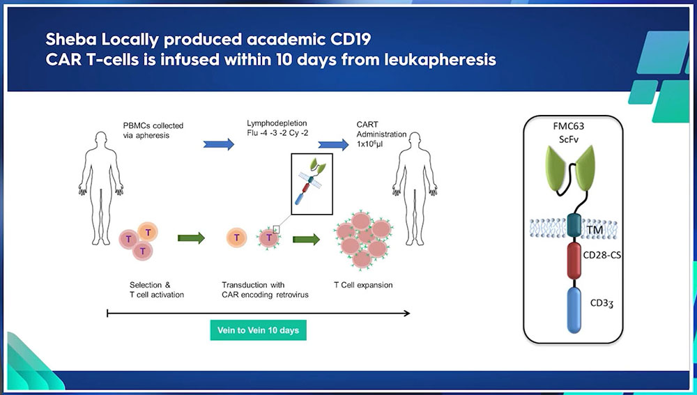 3-car-t-vein-to-vein-11-days-sheba.jpg